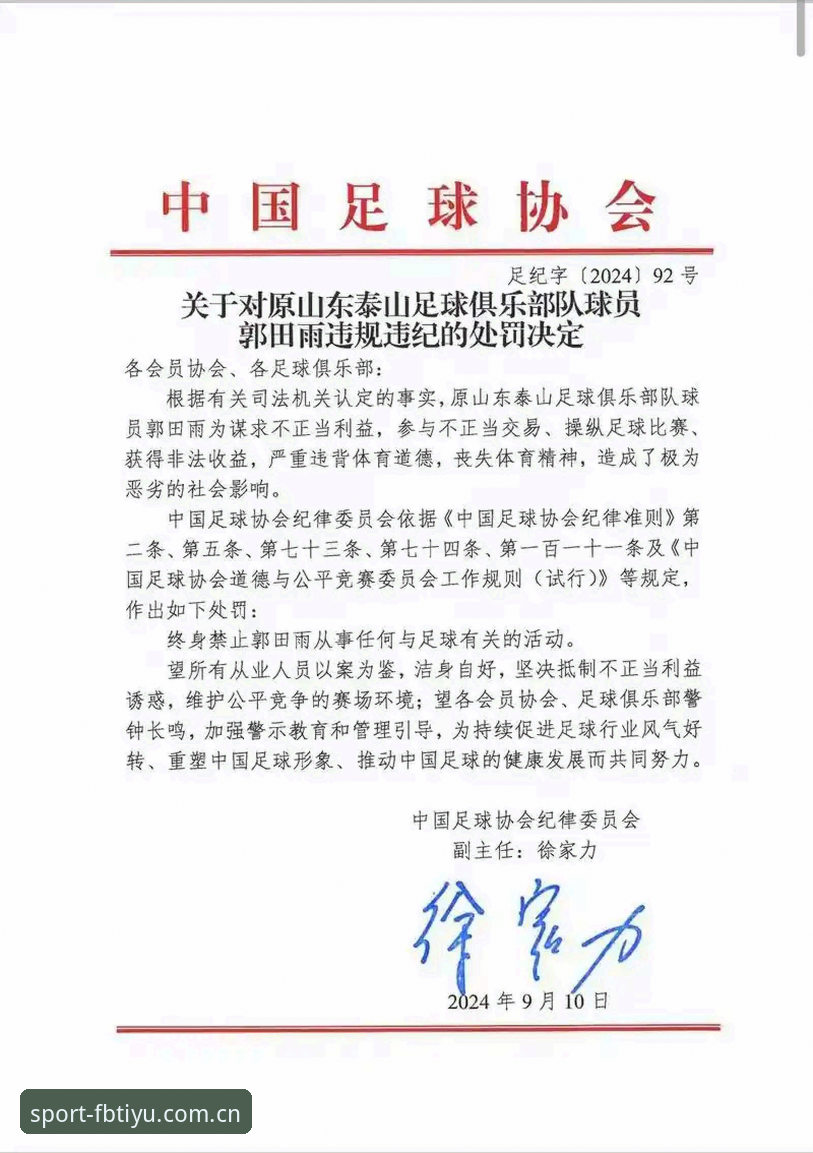 中国足协第三批禁足名单完整解读指南——FB体育用户如何理解这场足坛清理行动